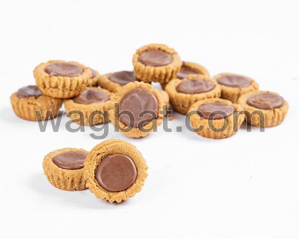 فدج كوكيز مع زبدة الفول السوداني