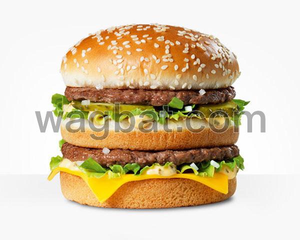 ستار برجر 2X2