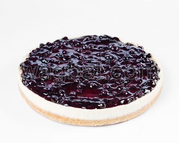 قالب تشيز كيك