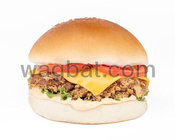 زنجر دجاج