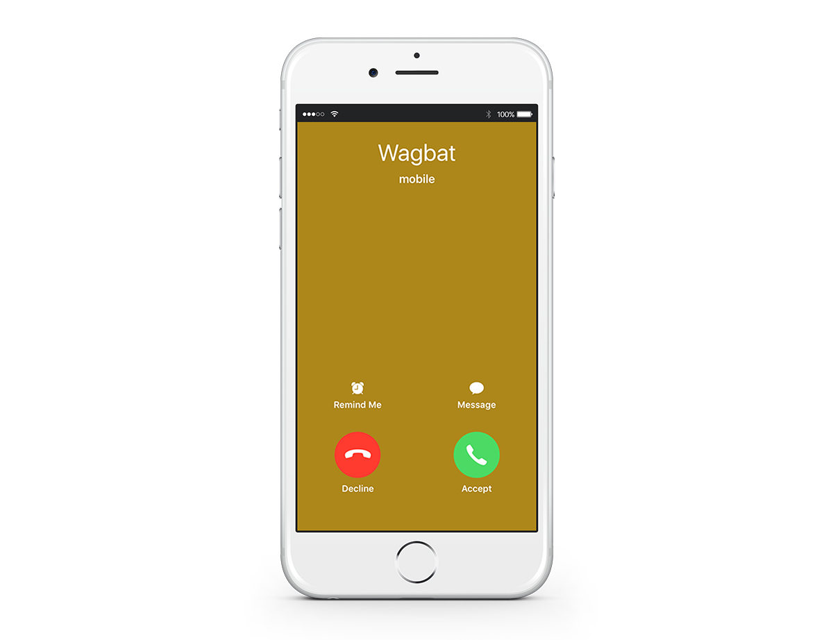 wagbat-register-12.jpg#asset:9330